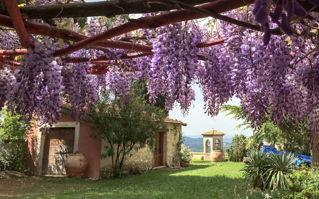SABINARTI : RESIDENZE CREATIVE A CASAPROTA