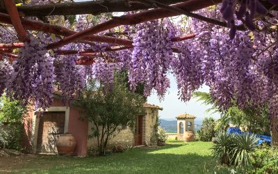 SABINARTI : RESIDENZE CREATIVE A CASAPROTA