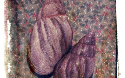 VALERIE EVRARD
