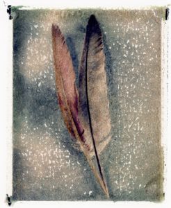 VALERIE EVRARD (PARIS), Les poesies visuelles, Mostre Diffuse Fotografia 2018