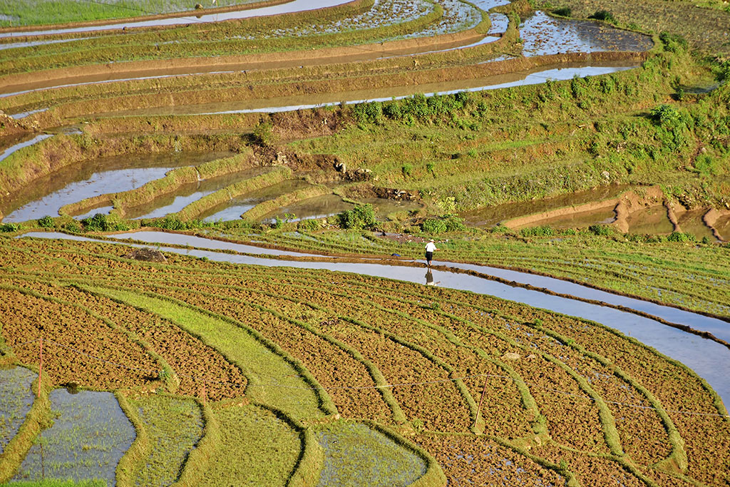 Céline Flat L’acqua, una risorsa che fa il sorRISO vietnamita Mostre Diffuse Fotografia 2019