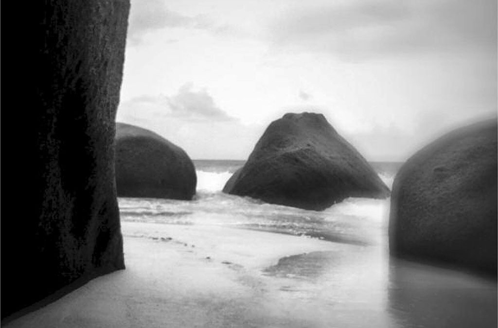 CLAUDIA CHIANESE
