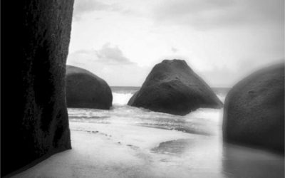 CLAUDIA CHIANESE