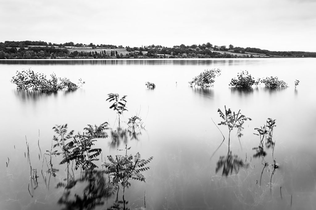 Gabriele Tartoni 6 Incisioni Mostre Diffuse Fotografia 2019