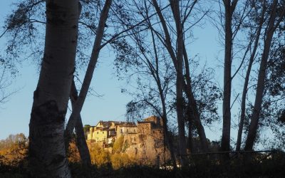 IL TEVERE IN UN ANNO NEL BORGO DI FOGLIA