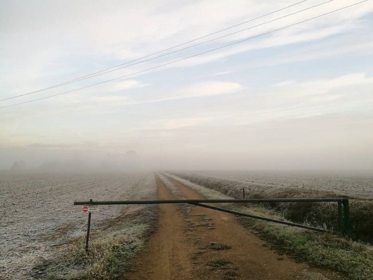 instagram #fase2ilprimogiorno, mostre diffuse fotografia 2020, enrico prada